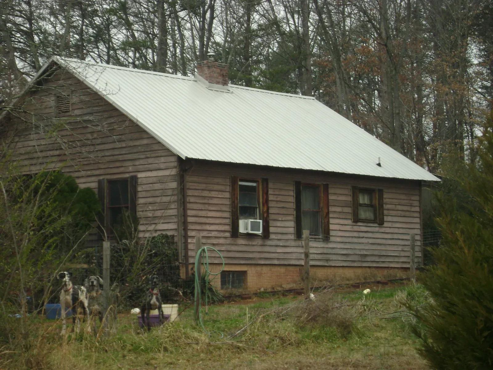 White metal roof on an old wood sided farmhouse, from a Asphalt Shingle Roof Repair job in Gambier